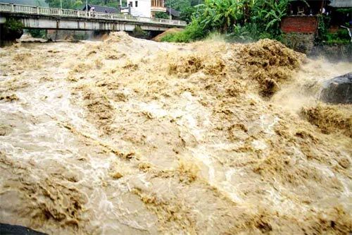 Đòi tự tử vì lũ cuốn mất 641 triệu đồng