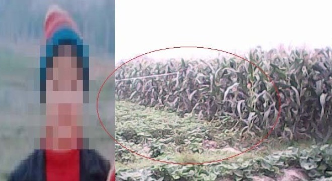 Vây bắt kẻ lột đồ phụ nữ định cưỡng hiếp giữa đồng