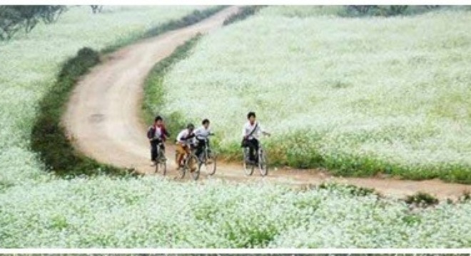 Dân Mộc Châu gửi thư