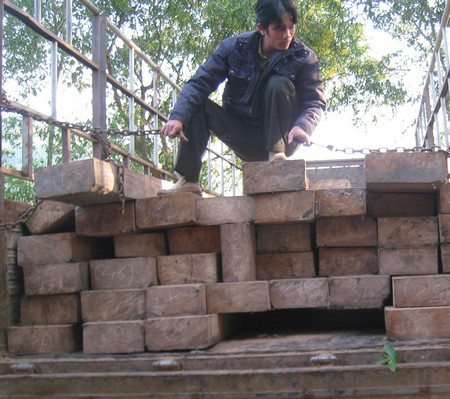 Bắt giữ xe tải vận chuyển 14 phách gỗ lậu