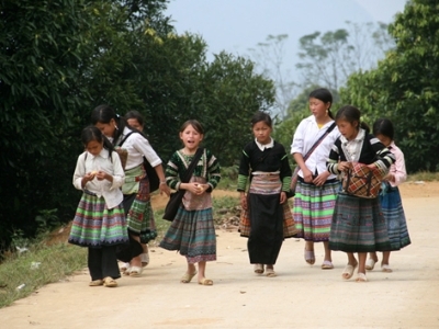 Tiếng khóc thảm giữa rừng hoang mùa