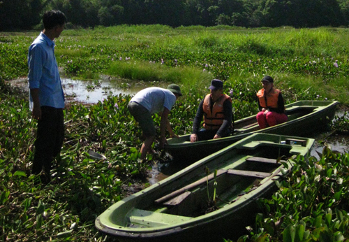 Về nơi bắt cá sấu dễ như... bắt muỗi trong lu