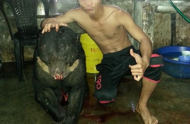 Bức xúc nam thanh niên đăng ảnh giết gấu dã man lên mạng