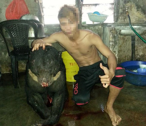 Kẻ khoe ảnh giết gấu trên Facebook gây rúng động có thể chịu 7 năm tù