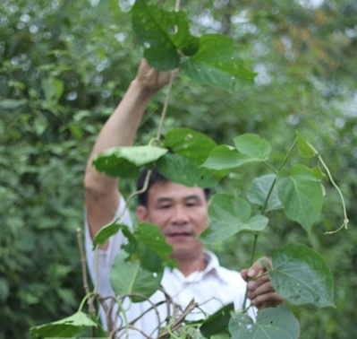 Hóa giải lời nguyền 