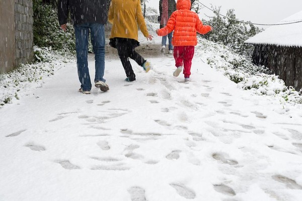 Vui với tuyết ở Sa Pa là ích kỷ?