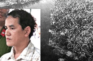 Yêu gã đa tình, cô gái bị kẻ thủ ác chia xác phi tang