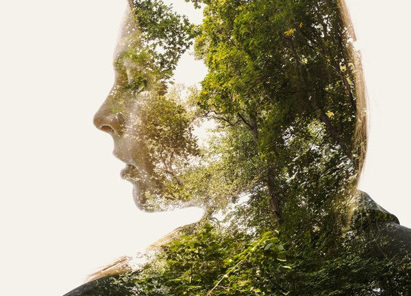 Kỹ thuật phơi sáng chồng