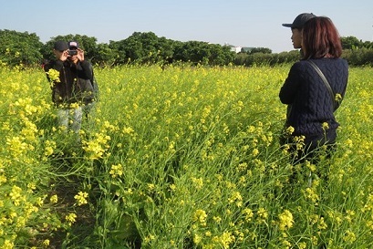 Hà Nội: Kiếm gần 10 triệu đồng/ngày nhờ dịch vụ... chụp ảnh vườn cải