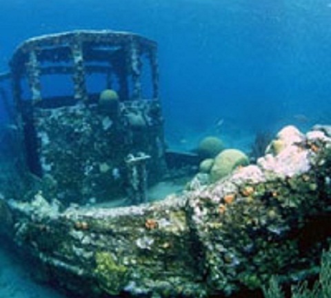 Cuộc đối đầu hy hữu giữa giới vật lý và khảo cổ