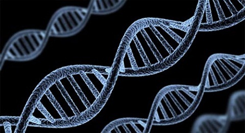 Năm 2013 và những sự kiện khoa học chấn động thế giới