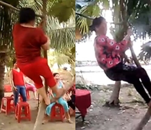 Cười nghiêng ngả với clip quý bà leo cây, nhảy nhạc sàn bốc lửa