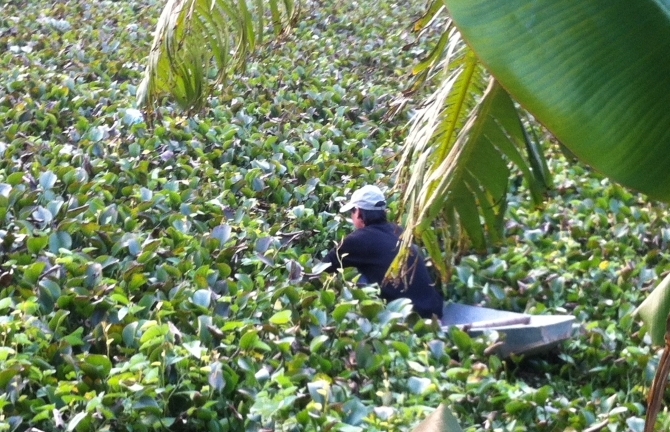 Tin tức 24h: Nhà ngoại cảm chỉ xác chị Huyền dưới ao bèo