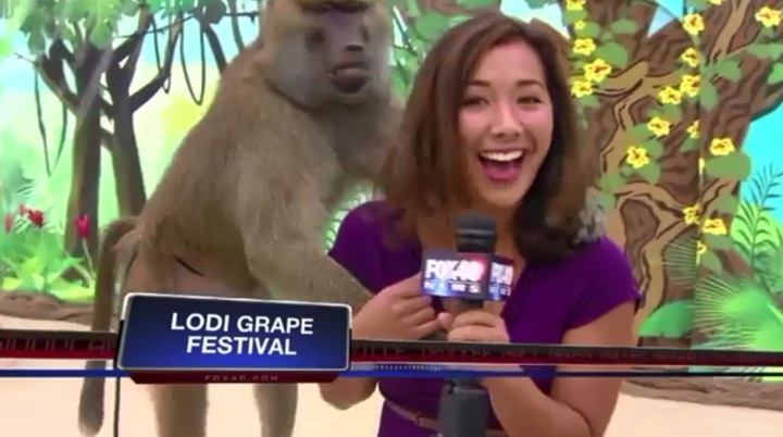 Clip tổng hợp các sự cố của MC truyền hình trong năm 2013