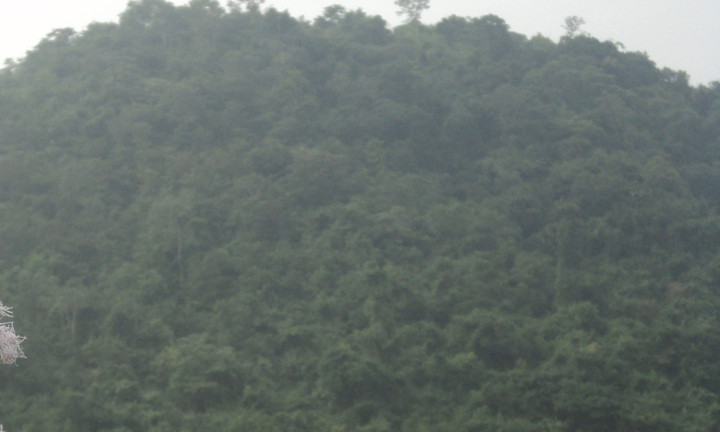 Sập hầm vàng làm một người chết ở Phú Yên