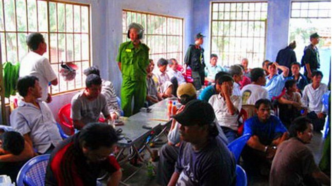 Vạch trần “mặt thật” một câu lạc bộ Chọi gà truyền thống