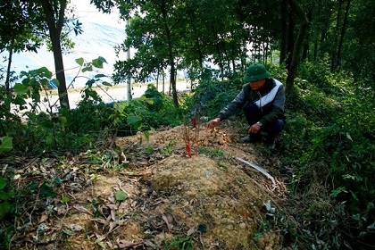 Ám ảnh về những hài nhi bị vứt bỏ ở bãi rác Nam Sơn