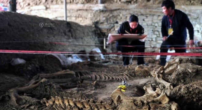 Hé lộ bí mật dưới nền ngôi nhà 2 người chết, 3 người tâm thần