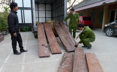 Phát hiện gỗ quý tiền tỷ vận chuyển qua đường hàng không