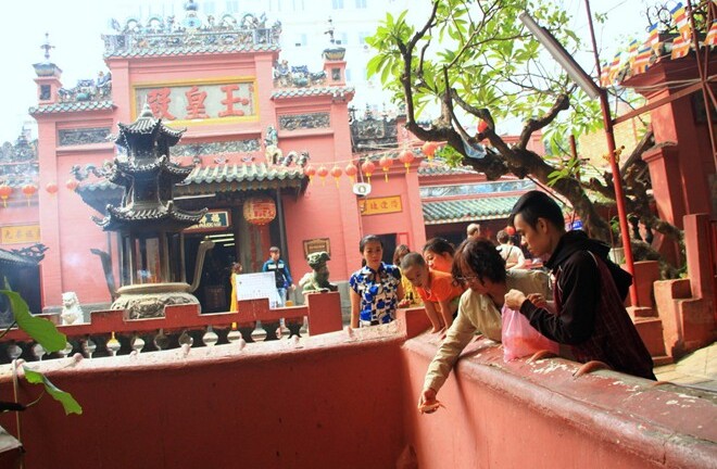Sợ ô nhiễm, người Sài Gòn mang cá chép vào chùa thả