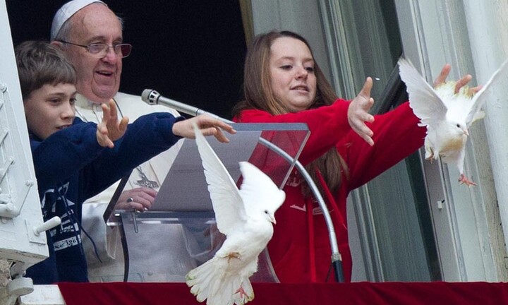 Bồ câu của Giáo hoàng Francis bị mòng biển tấn công