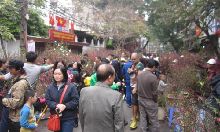 Clip: Nhộn nhịp chợ hoa Hàng Lược ngày 29 Tết
