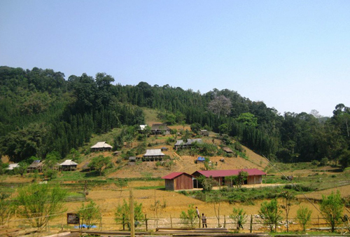 Đầu năm nghe chuyện độc và lạ ở