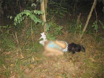 Nghi án bé gái bị hiếp giết, vứt xác bên đường