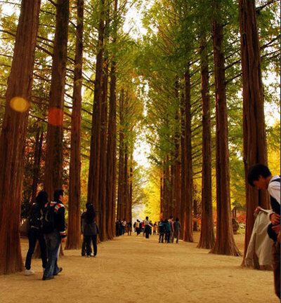 Tham quan những địa danh lãng mạn như phim Hàn cùng Vietravel