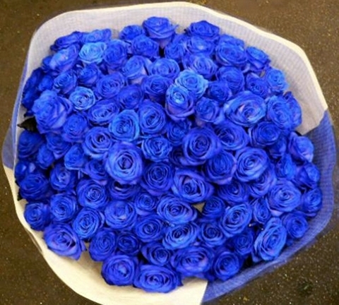 Hoa hồng bạc triệu 