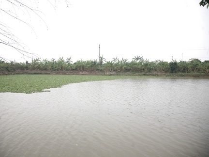 Thực hư lời đồn về đầm ma nơi đôi vợ chồng nghèo chết do đánh cá