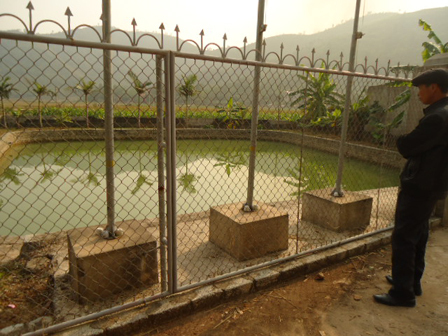  Tin lời... bà điên, cả làng hì hục bốc đất bẩn