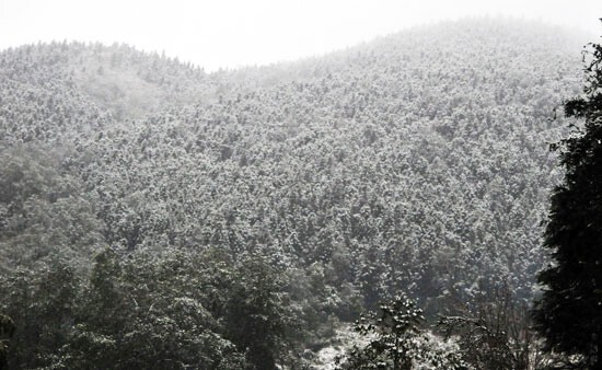 Mưa tuyết tràn xuống thị trấn Sa Pa