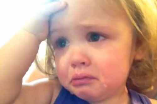 Sốt clip bé 2 tuổi khóc khi nghe nhạc đám cưới bố mẹ