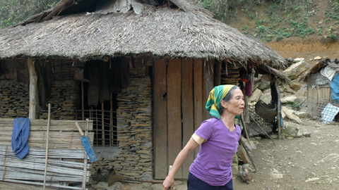 Cuộc sống trên đỉnh 