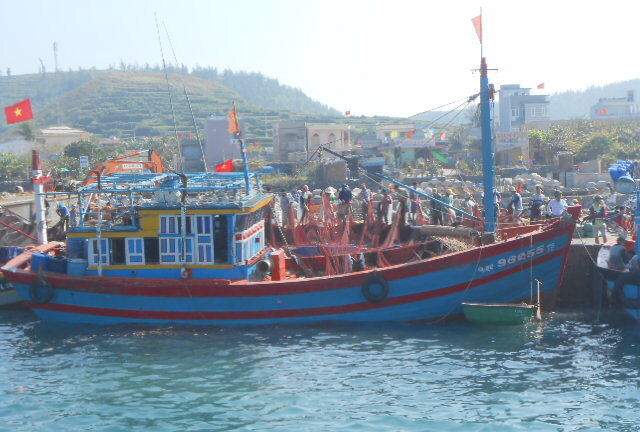 Chìm tàu gần biển Lý Sơn vì trúng luồng cá hơn 50 tấn