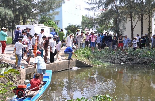 Phát hiện thi thể đang phân hủy trong rừng dừa nước