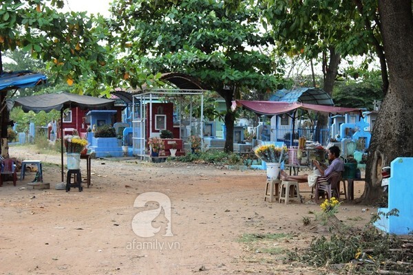 Sống và mại dâm ngay giữa nghĩa trang lớn tại TP. HCM