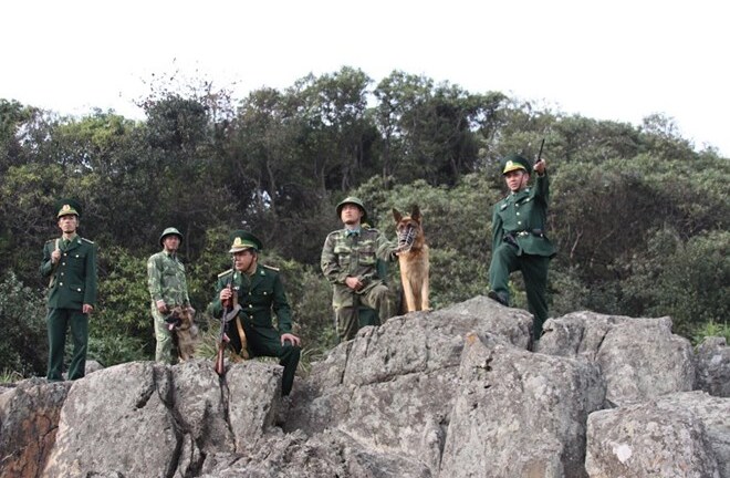 Chùm ảnh đặc biệt lính biên phòng tuần tra cùng chó nghiệp vụ