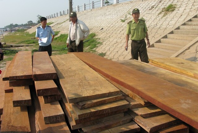 An Giang: Bắt giữ 70 mét khối gỗ lậu