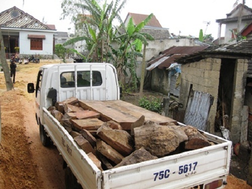 Huế: Nhiều gỗ quý bị phát hiện và bắt giữ trong nhà dân
