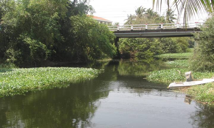 Phát hiện xác chết khi đi cắt rau muống trên sông