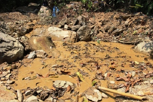 Quảng Trị: “Vàng tặc” lộng hành, chính quyền bất lực