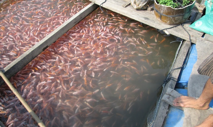 Hàng chục người hung hăng 