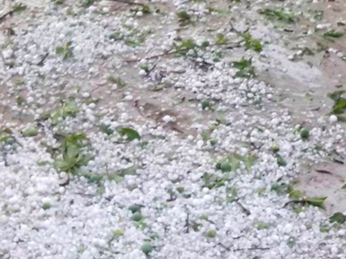 Xuất hiện mưa đá, hạt to bằng quả chanh tại Điện Biên