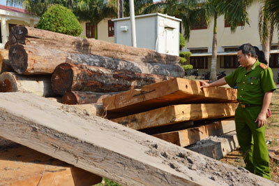 Gia Lai: Phát hiện hơn 22m3 gỗ “lậu” trong tình trạng “vô chủ”