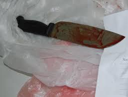 Tiền Giang: Ghen tuông mù quáng, giết mẹ vợ