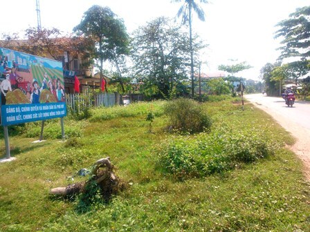 Chủ tịch xã uống thuốc sâu tự tử vì ...mất ngủ