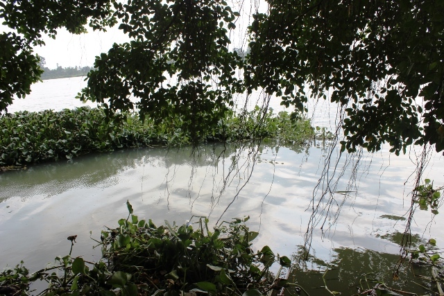 Tắm sông, thiếu niên 16 tuổi bị đuối nước, chết thương tâm