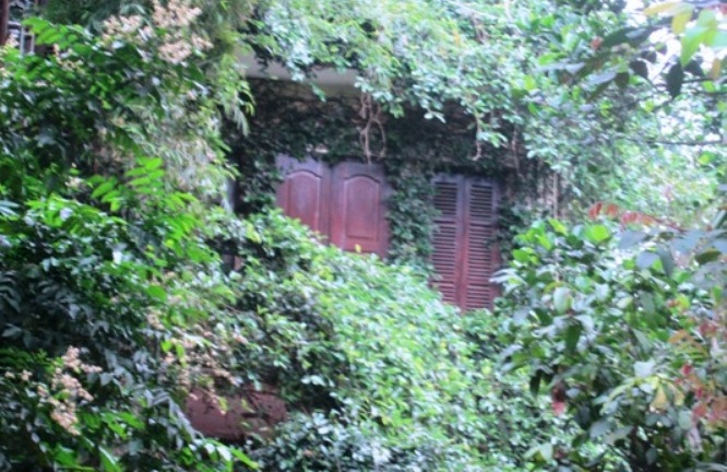 Kỳ bí biệt thự phủ kín dây leo ở Hà Nội